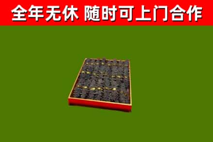 襄垣回收海参